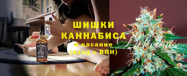 ECSTASY Снежногорск