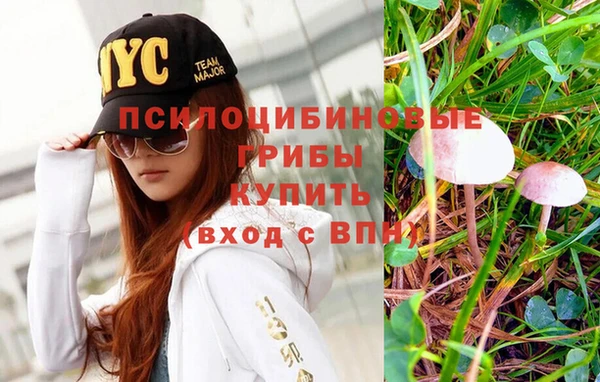 прущая мука Слюдянка