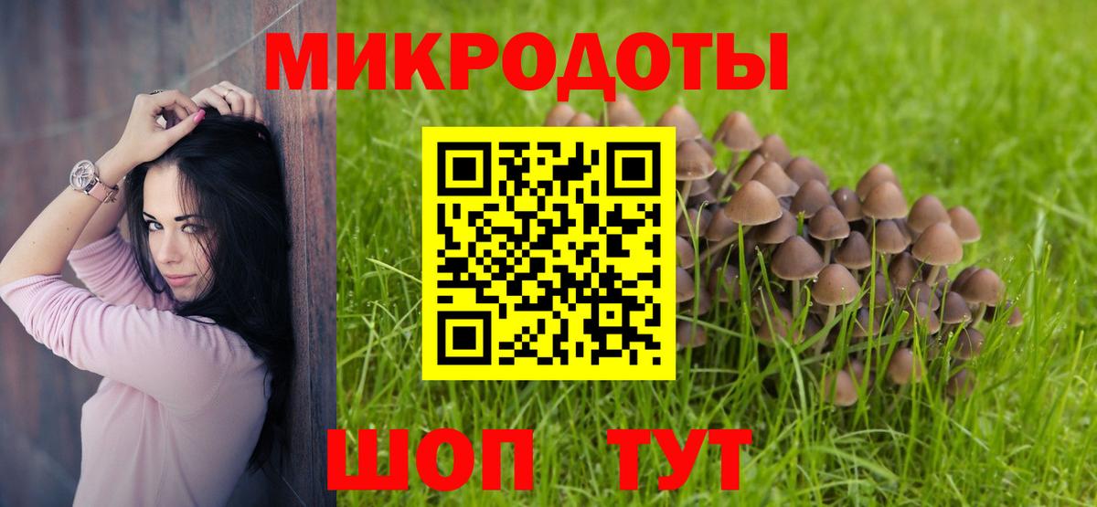 Псилоцибиновые грибы Cubensis  Алапаевск 